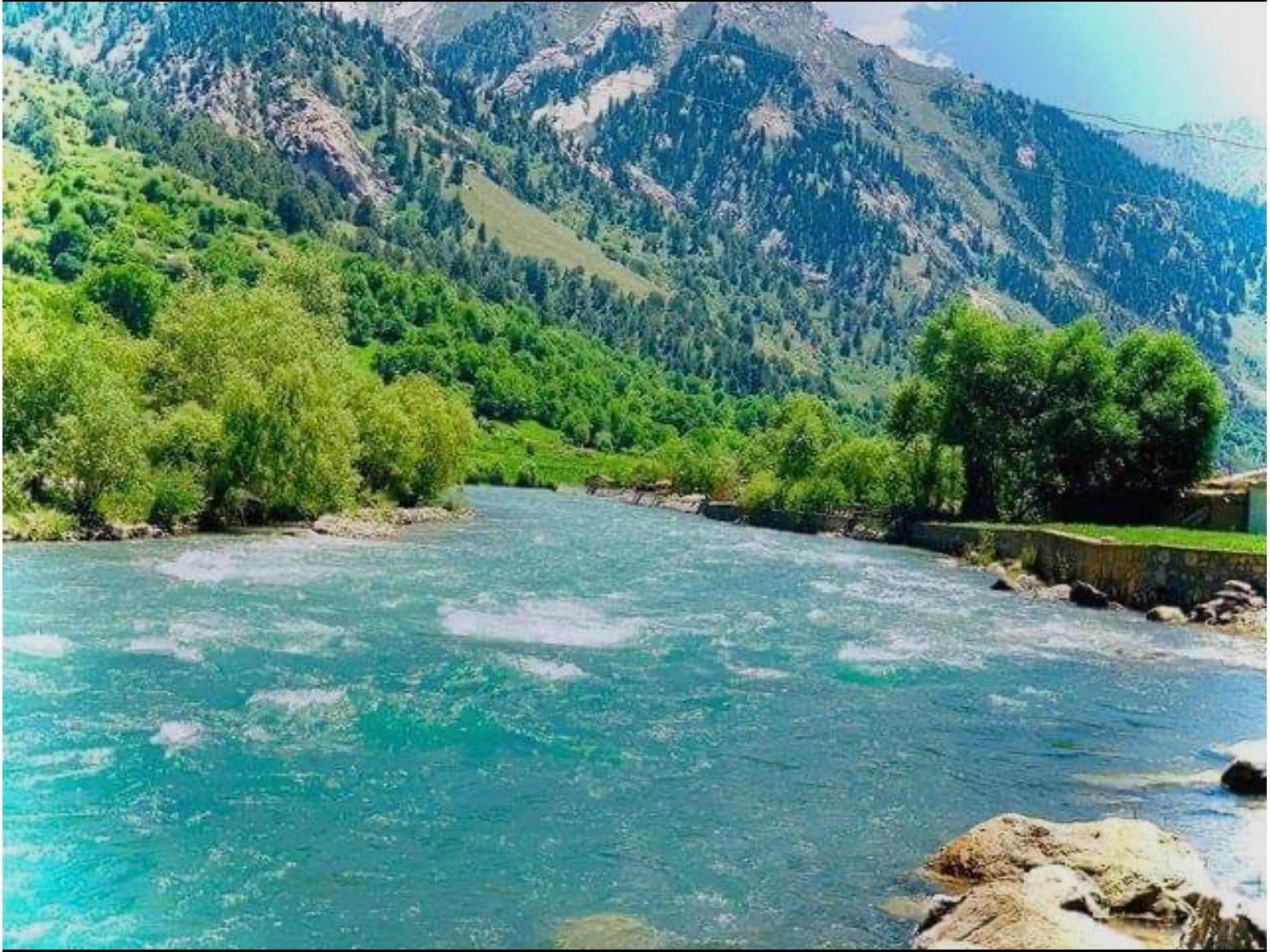 کنر مستِ آزادی است،  و من خواهرش هستم